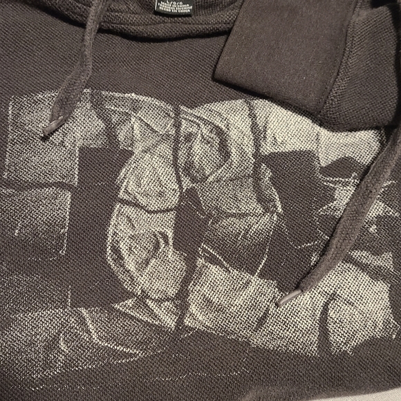 DC Hoodie (thin) - Picture 2 of 3